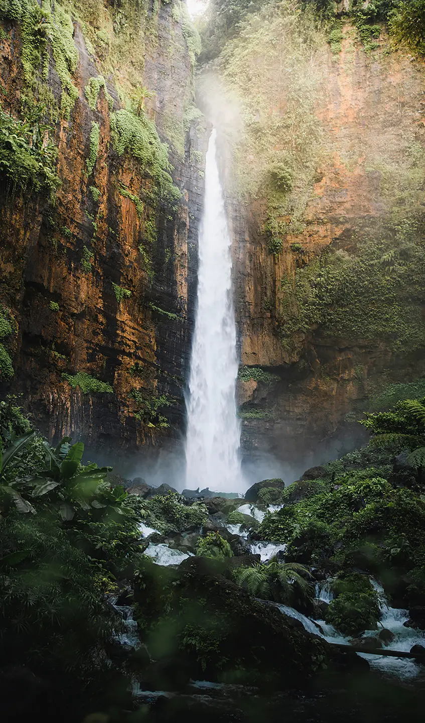 Photo Panneau mural douche NU VIPANEL INSPIRATION NATURE CHUTE JAVA BRI. 1500x2550x3MM