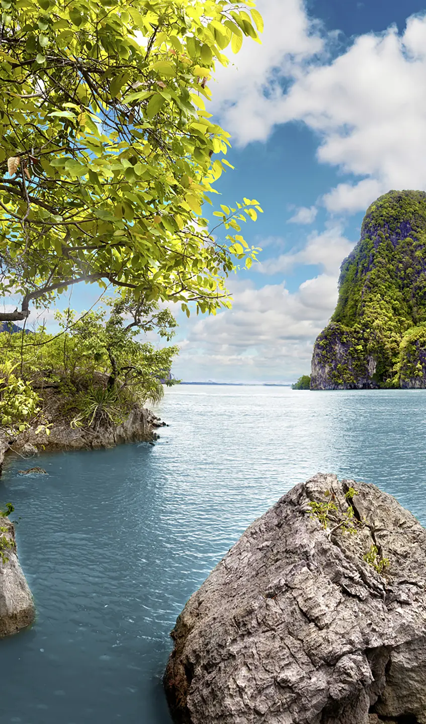 Photo Panneau mural douche NU VIPANEL INSPIRATION NATURE THAILAND R BRI. 1500x2550x3MM