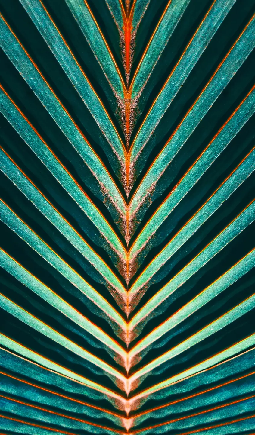 Panneau mural douche VIPANEL INSPIRATION NATURE EXOTIQUE BRI. 1500x2550x3MM|Revêtement pour salle de bain