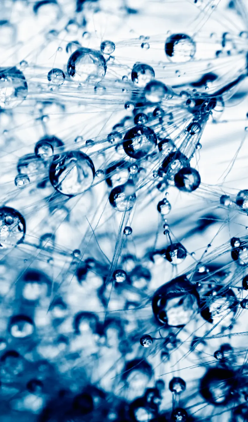 Panneau mural douche VIPANEL INSPIRATION NATURE ROSÉE MATI BRI. 1500x2550x3MM