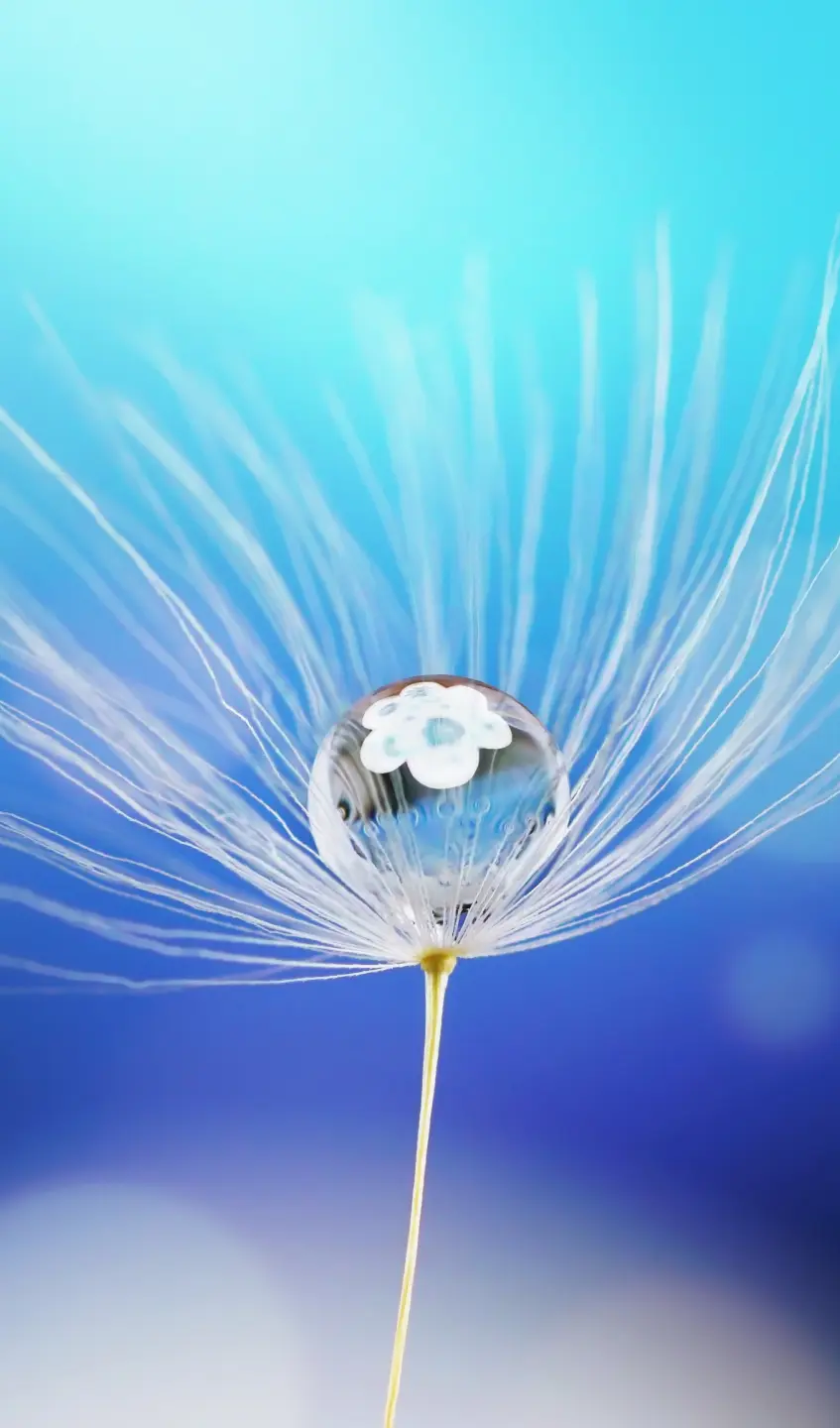 Panneau mural douche VIPANEL INSPIRATION NATURE GOUT EAU BRI. 1500x2550x3MM|Revêtement pour salle de bain