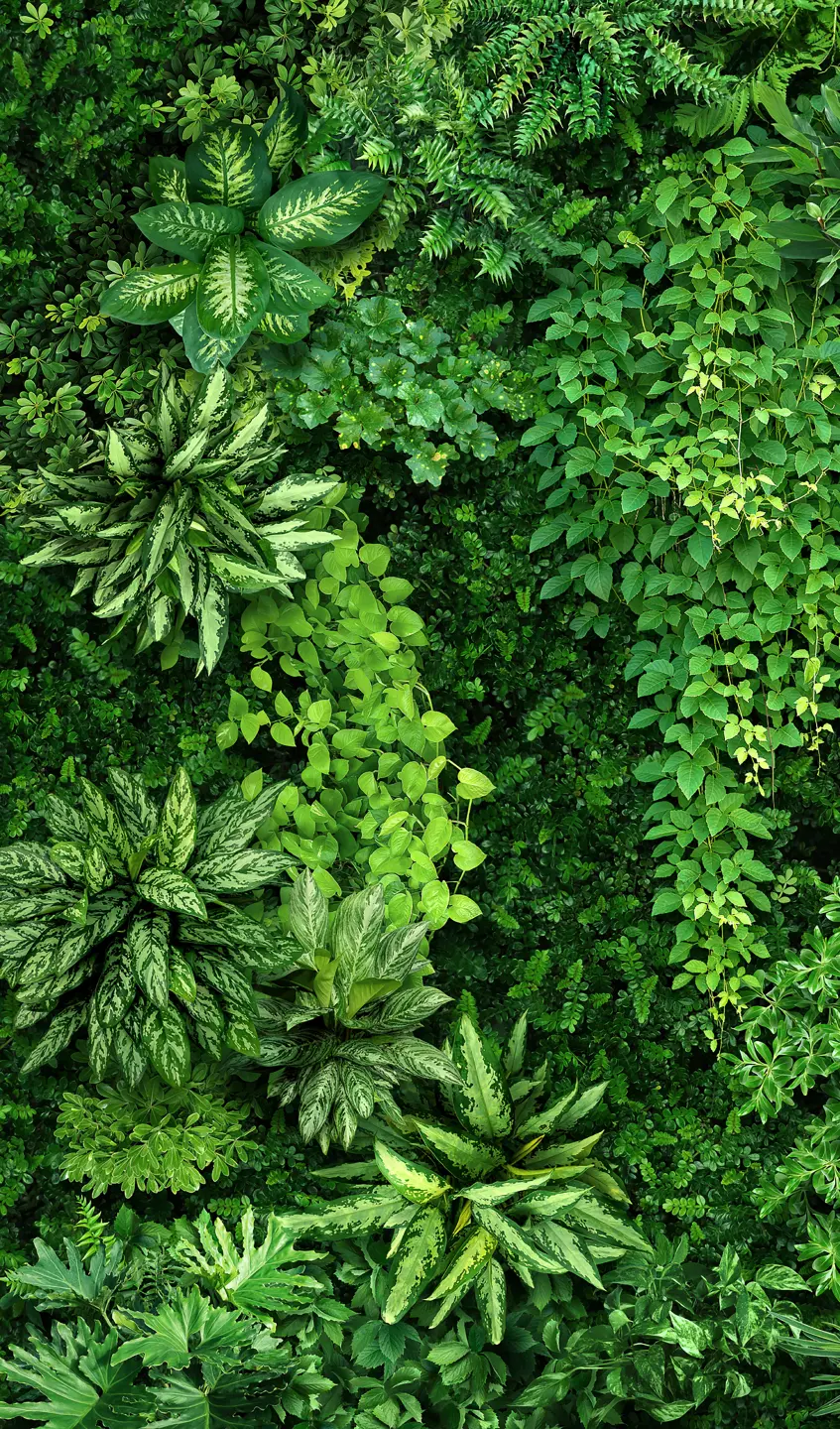 Panneau mural douche VIPANEL INSPIRATION NATURE MUR VÉGÉTA BRI. 1500x2550x3MM