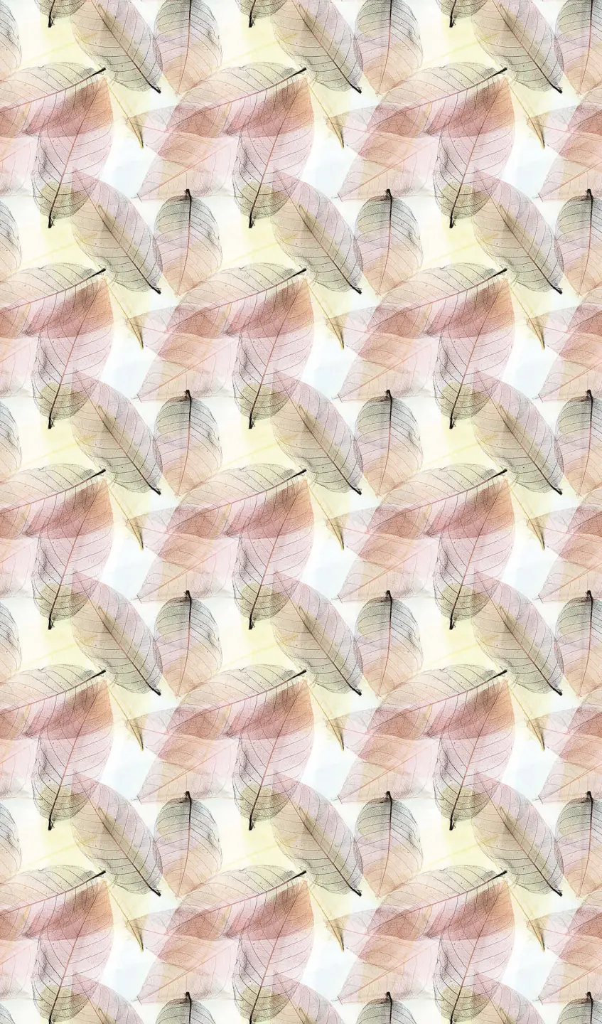 Panneau mural douche VIPANEL INSPIRATION NATURE FEUIL TRANS MAT 1500x2550x3MM