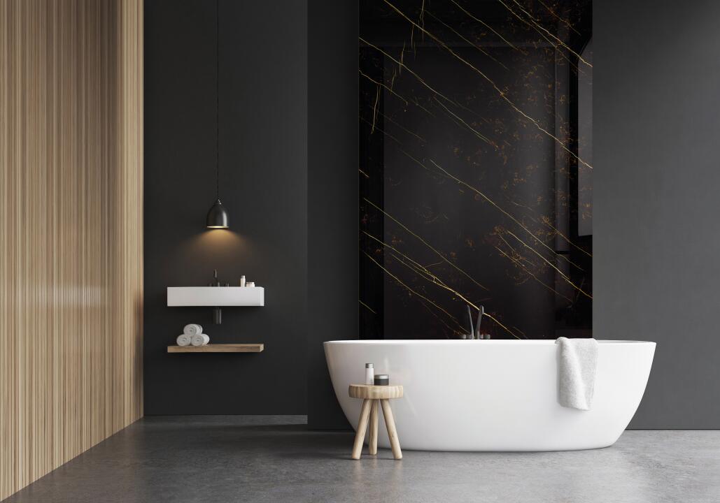 Photo Panneau mural douche NU VIPANEL CARISSIMA ECLAT DORE BRI. 1000x2550x3MM