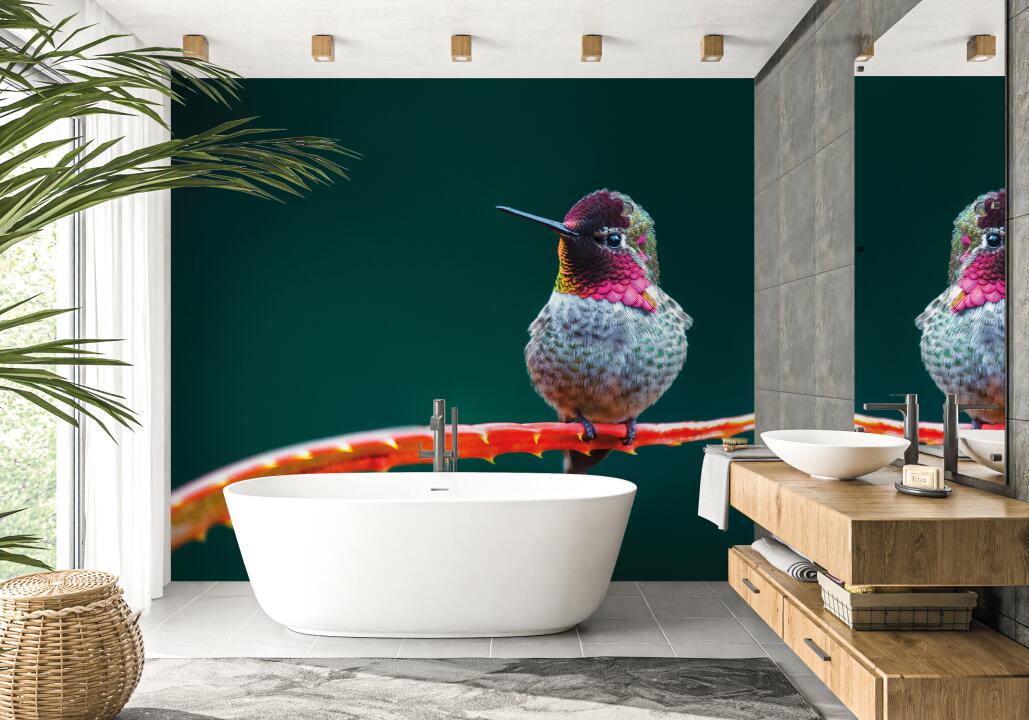 Panneau mural douche VIPANEL INSPIRATION NATURE COLIBRI BRI. 1000x2550x3MM|Revêtement pour salle de bain