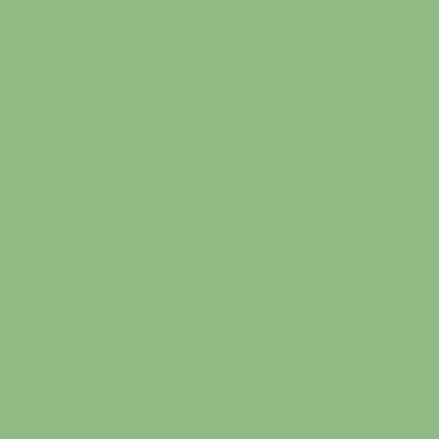 Photo Panneau mural douche NU VIPANEL COULEUR UNIE VERT OLIVE VEL. 1000x2550x3MM