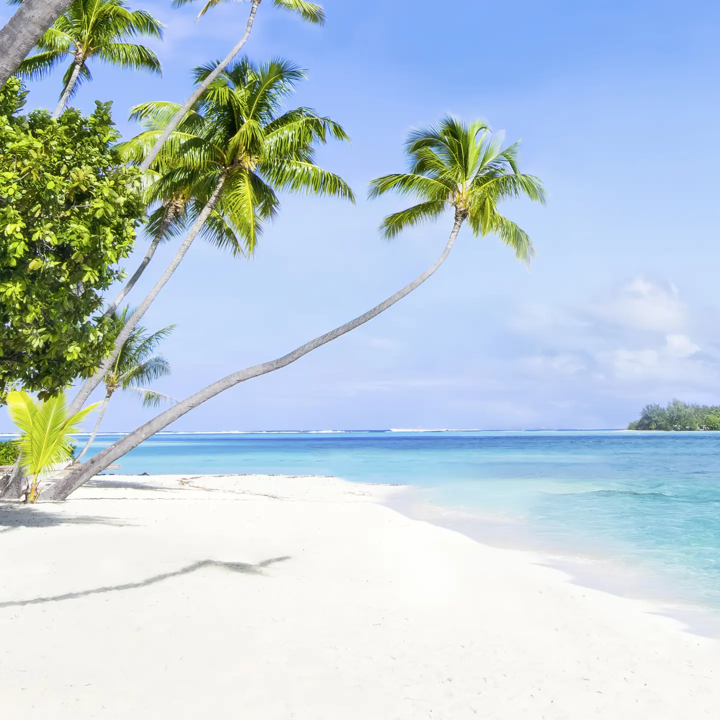 Photo Panneau mural douche NU VIPANEL INSPIRATION NATURE PLAGE BRI. 1000x2550x3MM