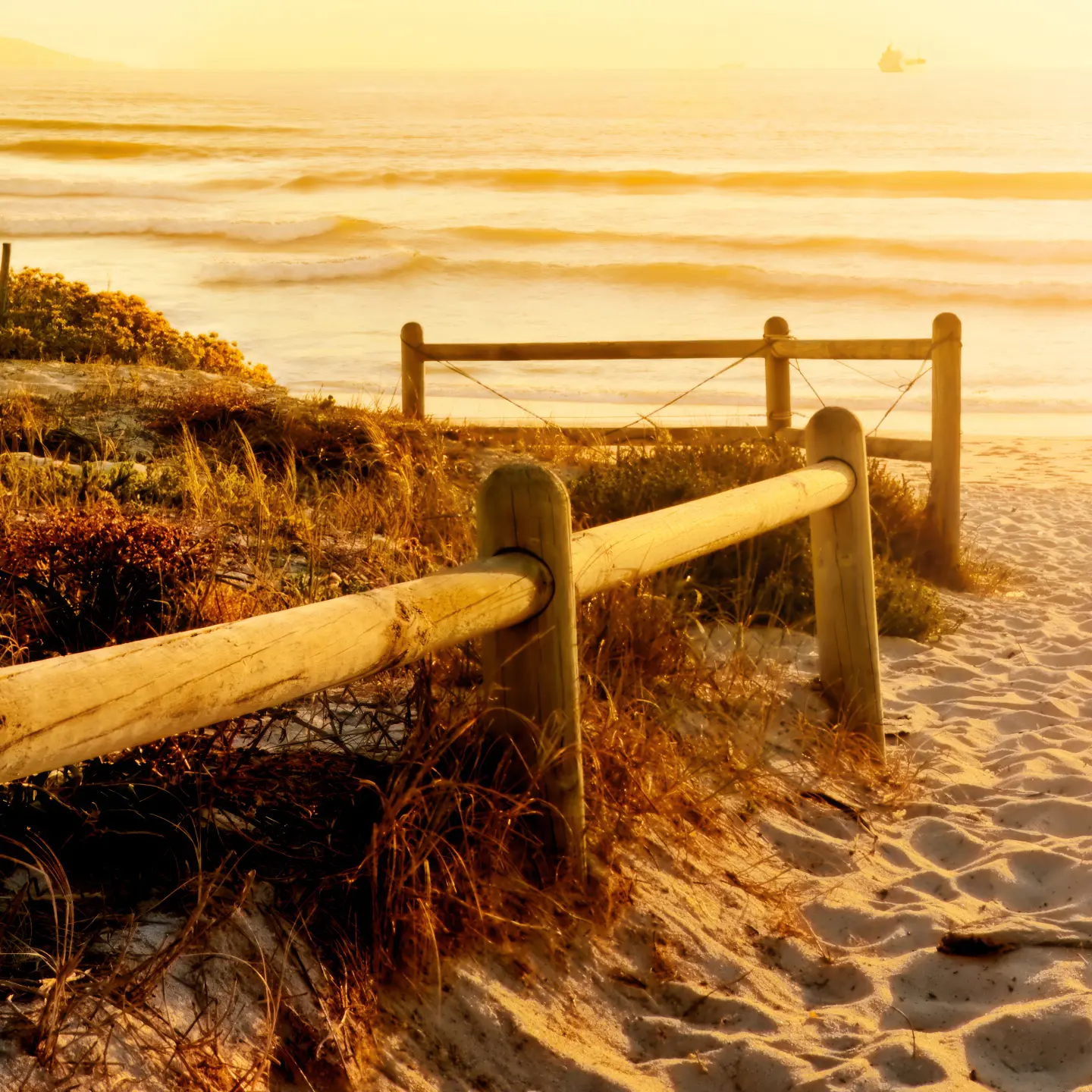 Photo Panneau mural douche NU VIPANEL INSPIRATION NATURE CAPE TOWN BRI. 1000x2550x3MM