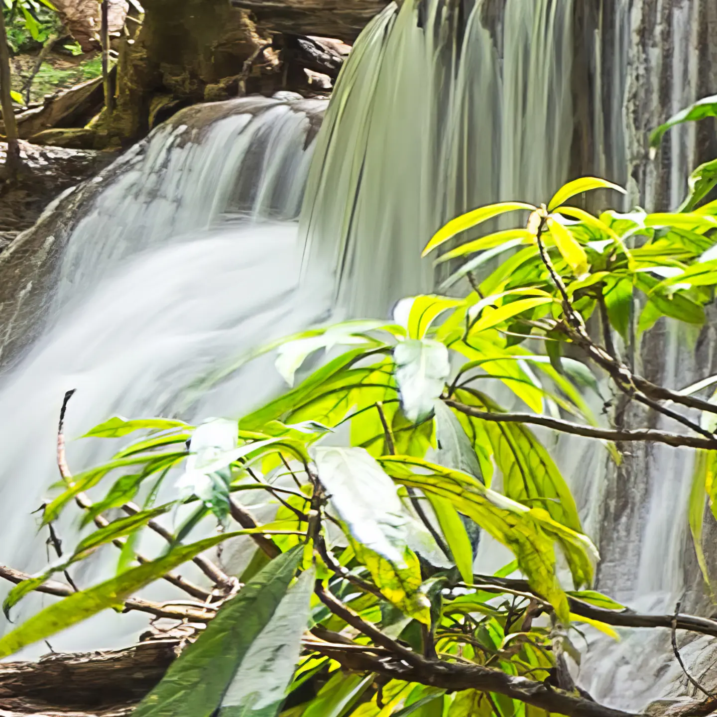 Photo Panneau mural douche NU VIPANEL INSPIRATION NATURE CHUTE EAU4 BRI. 1500x2550x3MM