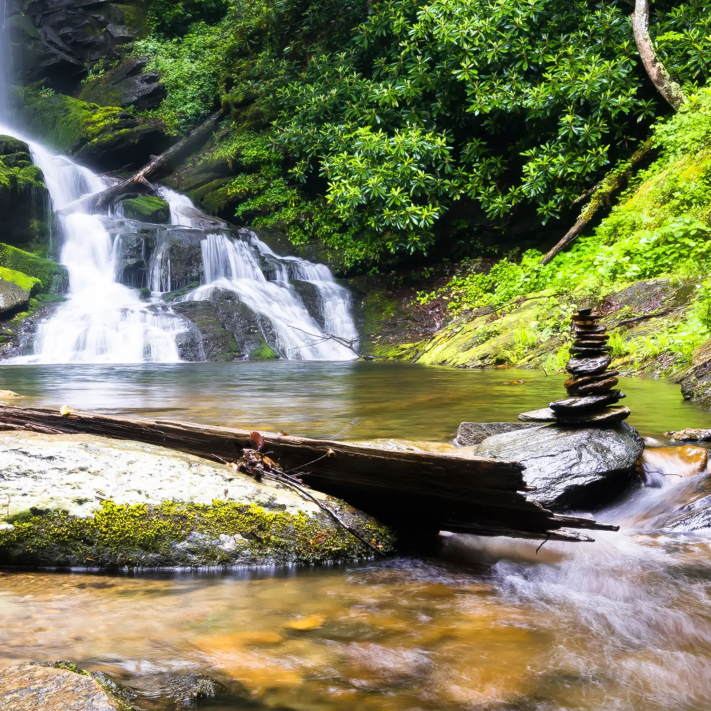 Photo Panneau mural douche NU VIPANEL INSPIRATION NATURE CHUTE EAU5 BRI. 1500x2550x3MM