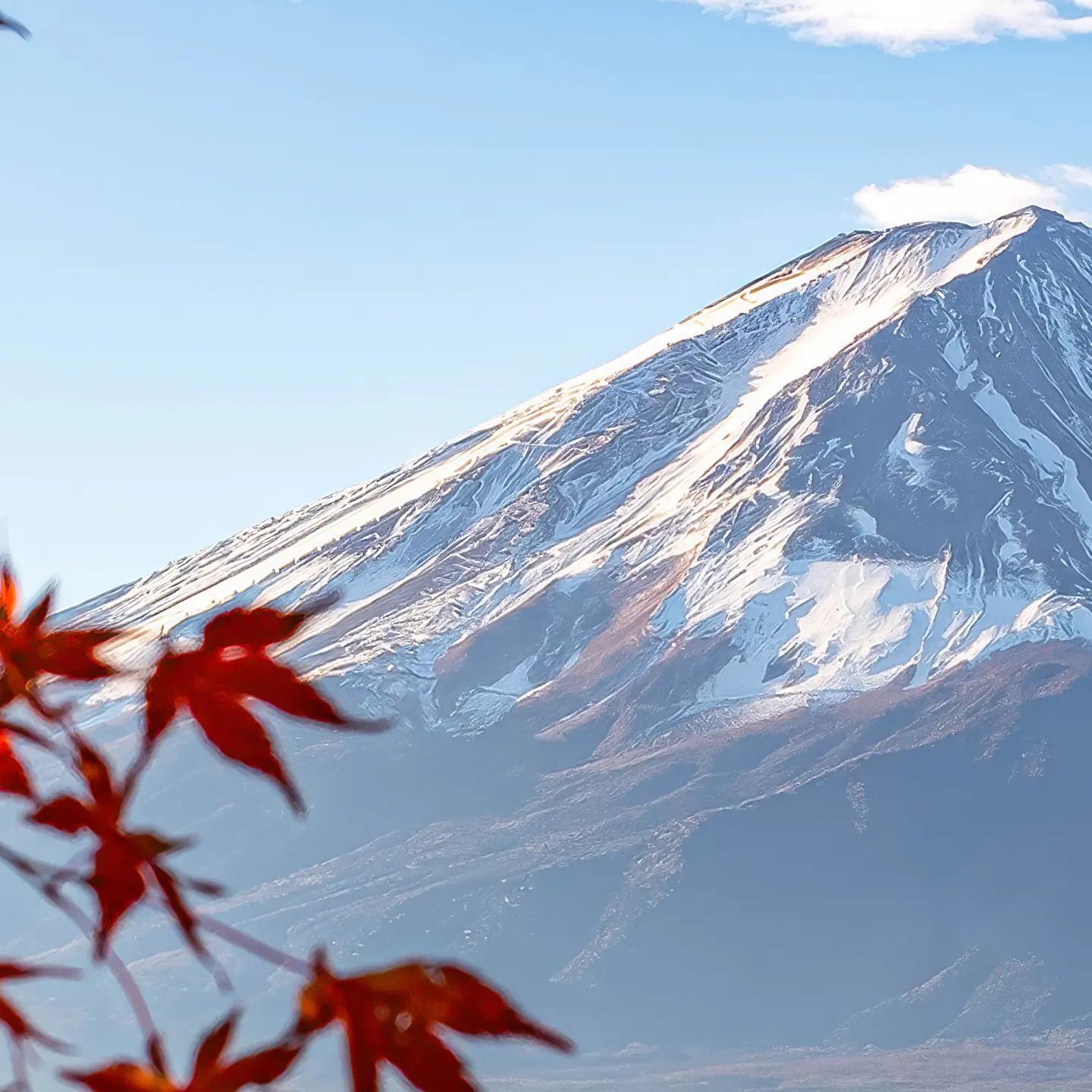 Photo Panneau mural douche NU VIPANEL INSPIRATION NATURE MONT FUJI BRI. 1500x2550x3MM