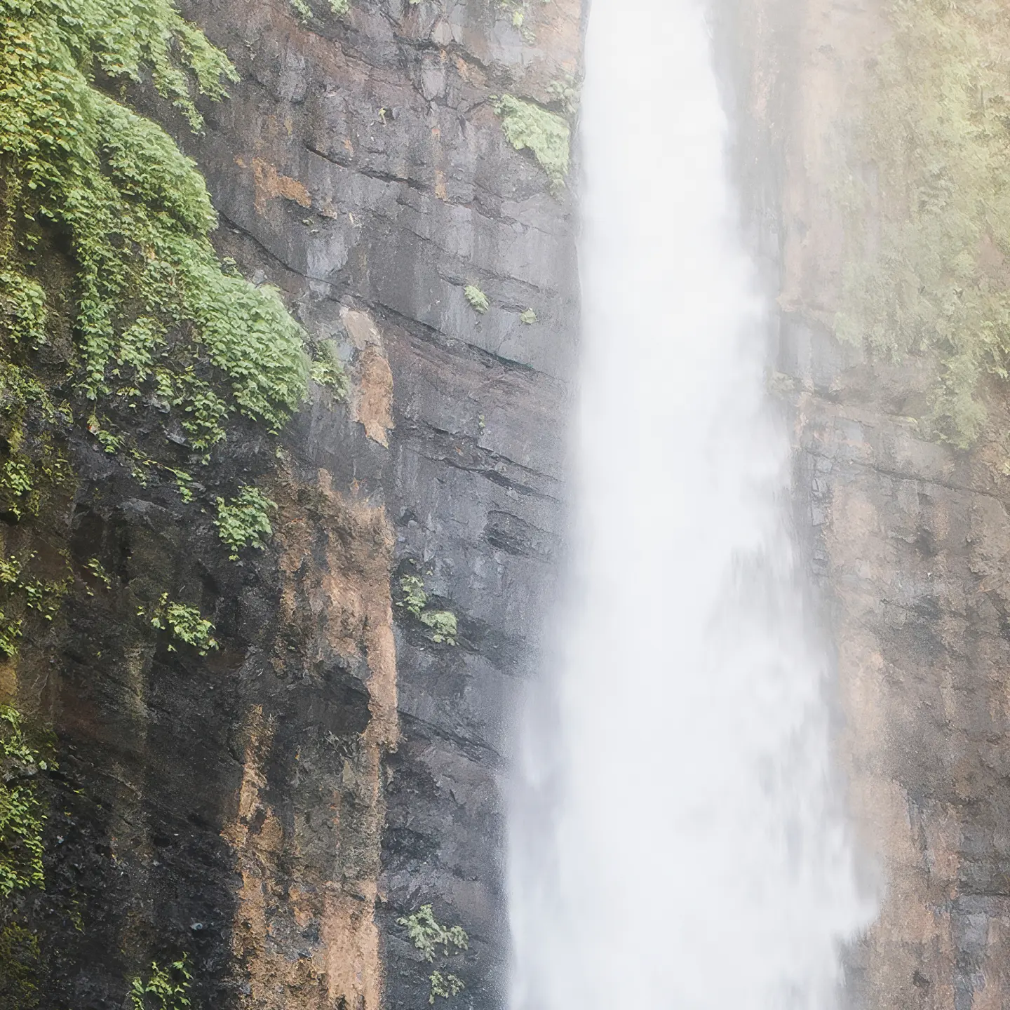 Photo Panneau mural douche NU VIPANEL INSPIRATION NATURE CHUTE JAVA BRI. 1000x2550x3MM