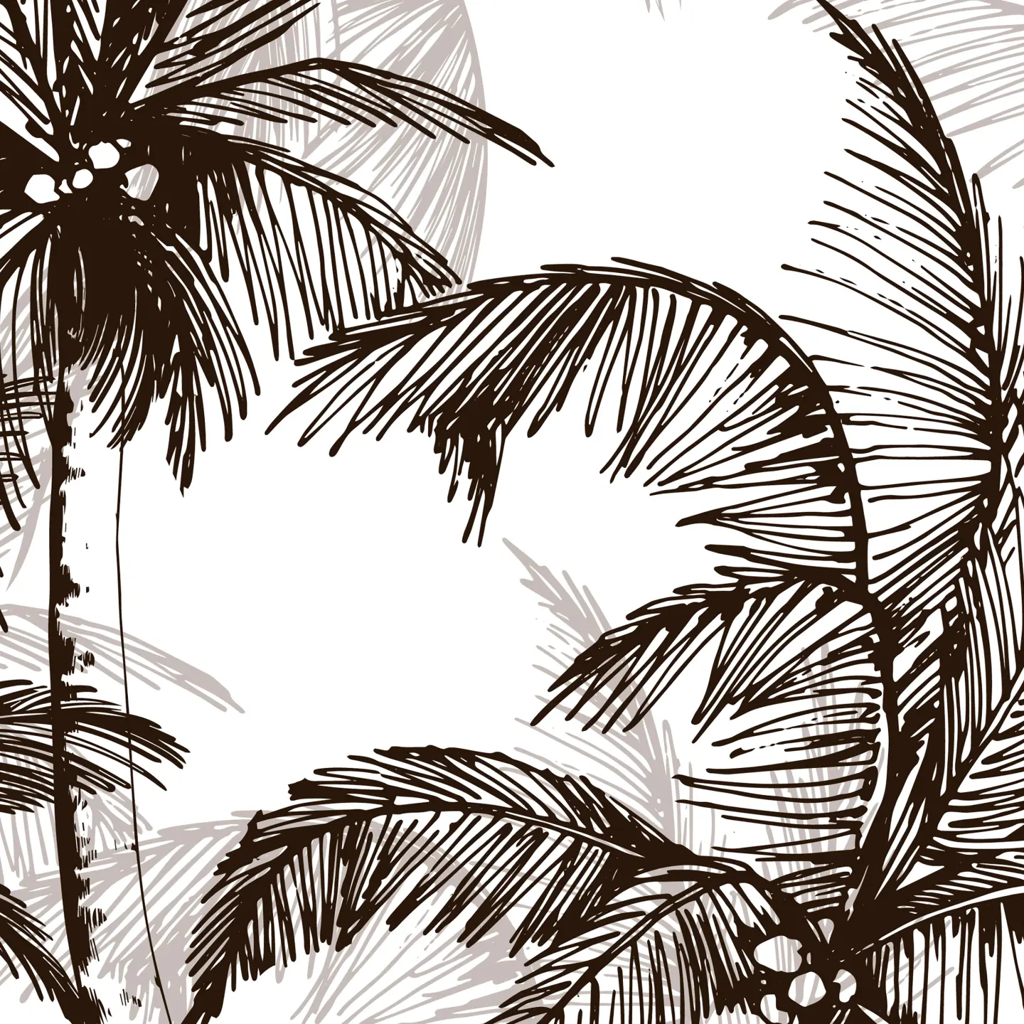Photo Panneau mural douche NU VIPANEL WALL DREAM MIAMI VEL. 1500x2550x3MM