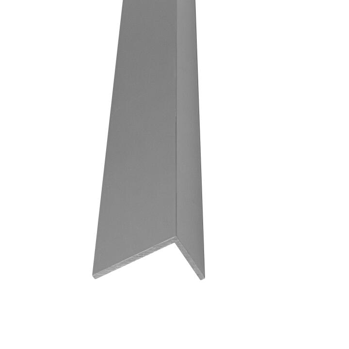 Profilé cornière pour VIPANEL 25x15mm Argent